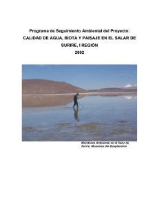 Programa de Seguimiento Ambiental en el Salar de Surire - Año 2002 (Tapa)