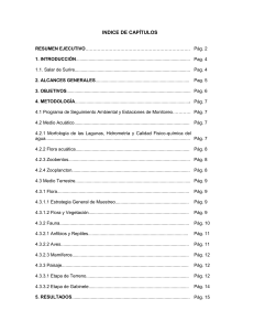 Programa de Seguimiento Ambiental en el Salar de Surire - Año 2001 - Indice de Contenidos