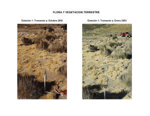 Programa de Seguimiento Ambiental en el Salar de Surire año 2002 - Anexo Fotografico 2