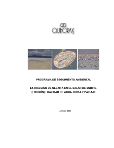 Programa de Seguimiento Ambiental en el Salar de Surire año 2003 - Portada