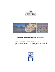 Programa de Seguimiento Ambiental en el Salar de Surire - Año 2004 - Portada