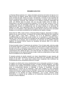 Informe Final 2004