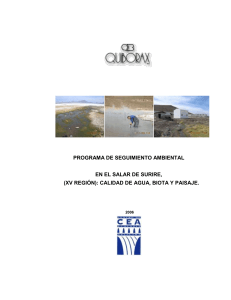 Salar de Surire Environmental Monitoring Report 2006