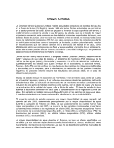 Salar de Surire Environmental Monitoring Report 2006