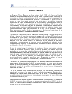 Informe Surire 2008 V1