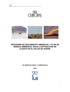 Informe Seguimiento Plan Ambiental 2010A V0