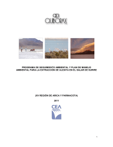 Informe Seguimiento Plan Ambiental 2011A REVD