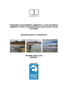 2015 Informe Anual Surire V1