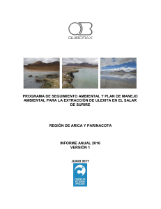 2017-05 Informe Salar de Surire Anual2016 V1