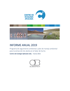 2019 13 QBR003 INF CO V1 AnualSurire