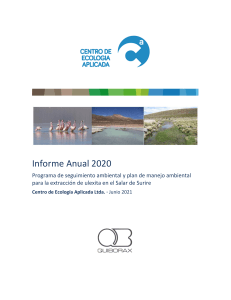 2020 13 QBR003 INF CO V1 AnualSurire