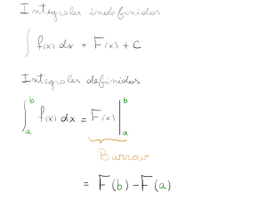 Integrales Definidas e Indefinidas: Apuntes de Clase