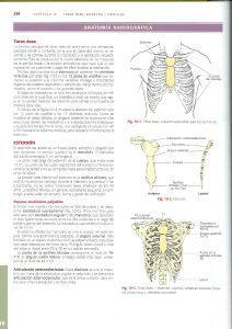 10 - TORAX OSEO, ESTERNON Y COSTILLA