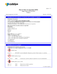 SDS - SPRAY GALVANIZADO EN FRIO (ES)