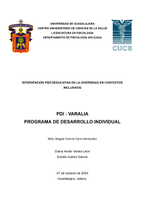 PDI  Varalia   Programa de Desarrollo Individual  (1)