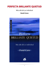 PERFECTA BRILLANTE QUIETUD - David Cars