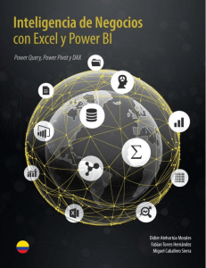 Libro power Bi