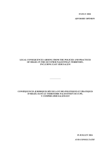 Legal Consequences in Occupied Palestinian Territory: Advisory Opinion