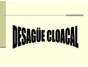 Sistemas de Desagüe Cloacal: Presentación