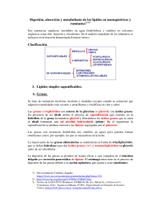 METABOLISMO DE LOS LÍPIDOS