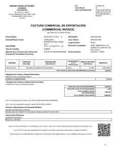 FEX WM66 300 CEIPVI inter soboce ok (1)