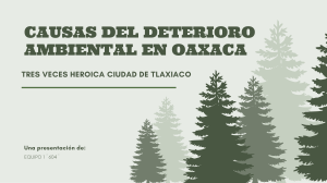 Causas de Deterioro ambiental en Oaxaca 