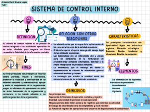 Sistema de Control Interno: Definición, Fines y Principios