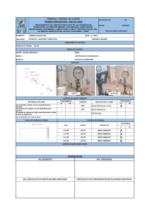 Copia de PROTOCOLO N°01 IISS HIDROSTATICA - 86