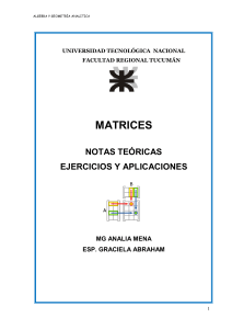 TEORIA 1 - MATRICES