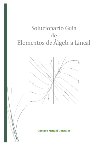 Solucionario guia elementos de Álgebra Lineal - GONZALEZ Gustavo Rect