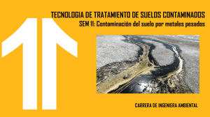 semana 11. Contaminacion del suelo por metales pesados 1024