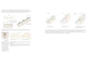 Opere di ingegeria naturalistica-Model Erosion control 