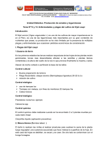 TEMA 13 Y 14 CONTROL DE PLAGAS Y ENFERMEDADES DEL FRIJOL CAUPI