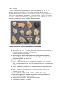 Rocas Sedimentarias: Formación, Clasificación e Importancia