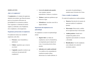 Zooplancton: Definición, Tipos y Métodos de Estudio