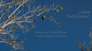 ¿Cómo Habitar? Ensayo Fotográfico en la Ciudad Universitaria