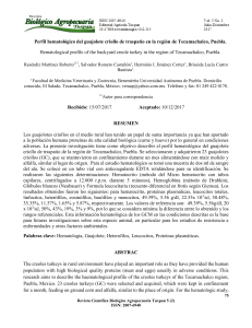 jayala,+PERFIL+HEMATOLÓGICO+DEL+GUAJOLOTE+CRIOLLO+DE+TRASPATIO+EN+LA+REGION+DE+TECAMACHALCO,+PUEBLA