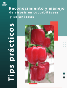 Reconocimiento de Virosis en Solanaceas y Cucurbitaceas_Intagri