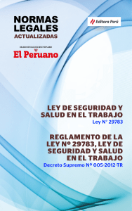 LEY 29783