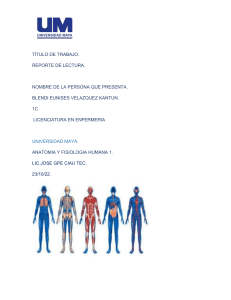 velazquez EF 1C Fundamentos de enfermeria