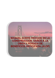 MANUAL SOBRE RIESGOS EN LA CONSTRUCCION