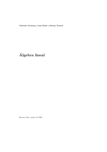 Álgebra Lineal: Espacios Vectoriales, Matrices y Transformaciones