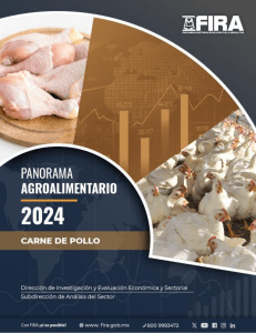 Panorama Agroalimentario Carne de pollo 2024