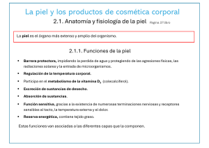 TEMA 2 y 3 LA PIEL Y PRODUCTOS COSMÉTICOS CORPORALES