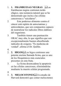 TRES ALIMENTOS CONTRA EL CÁNCER