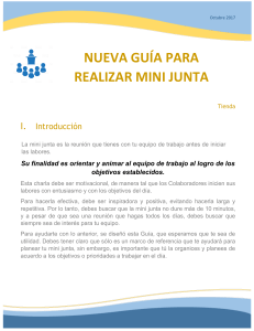 GUIA PARA REALIZACIÓN DE MINI JUNTA OCT 17