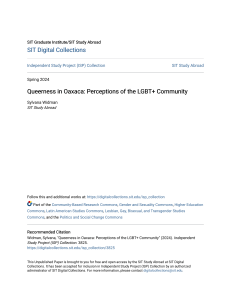 Queerness in Oaxaca  Perceptions of the LGBT+ Community