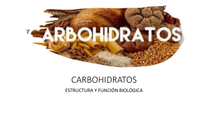 Carbohidratos: Estructura y Función Biológica