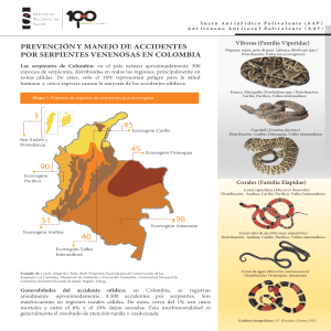 INFORGRAFÍA ACCIDENTE OFÍDICO