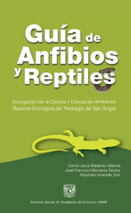 Guía de Anfibios y Reptiles: Pedregal de San Ángel